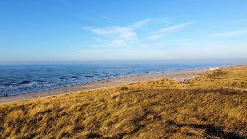 JOMO an der Küste - LekkerNaarZee Callantsoog